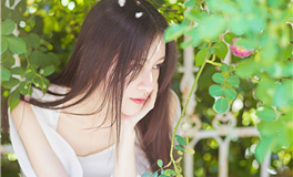 情商超群的星座：揭秘那些情感智慧的佼佼者