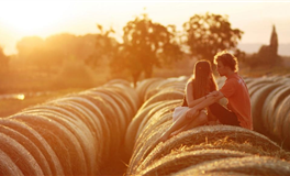 水玲师傅：属牛人2025年11月运势