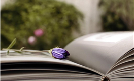 每日生肖运势2025年10月3日（八月十二）