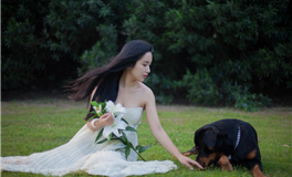 艾菲尔十二星座周末运势（11.15-11.16）