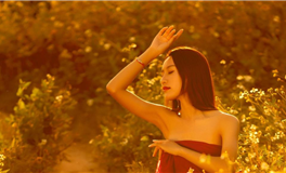 11月下半月有破财风险的星座，不要用力过猛