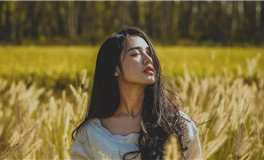 才华横溢的颜值担当：天赋与努力的完美结合