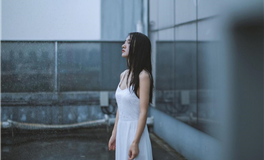 12月：桃花盛开，哪些生肖将迎来爱情机遇？