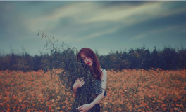 属牛天秤座2026年运势