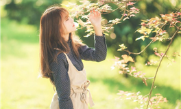 星座日运 2025年11月29日 星期六 农历十月初十