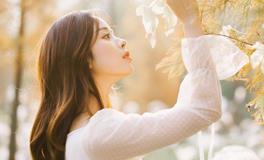 Pandora占星小巫天蝎座2025年11月运势