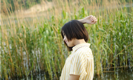 张鑫龙每日通盛+生肖运势 2025年11月9日