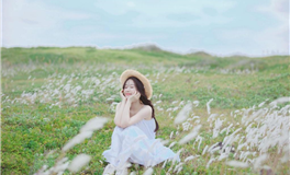 占星妖妖十二星座每日运势（2025-11-4）