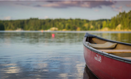 四大星座人际交往进入高潮，机遇大门为你敞开