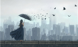 小乖麻2025年11月射手座运势