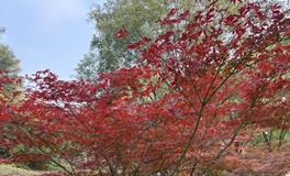 摇摆不定的八字女性：脚踏两只船之谜