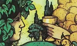 爱莎公主摩羯座一周塔罗运势（12.1-12.7）