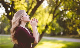 五行之盛衰：解析先天体质的奥秘