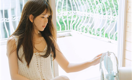 2026年十二生肖事业运程：一窥究竟，事业前景好坏立见分晓！