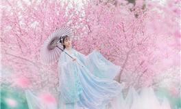 星座女神每日星座运势2025年12月13日