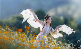 李雲天2026丙午马年十二属相运势