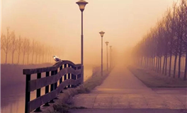 张鑫龙每日通盛+生肖运势 2025年12月26日