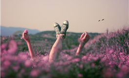 十二生肖2026丙午年整体运程