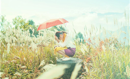 婚礼选日的智慧与艺术