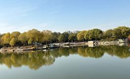 家居养鱼：风水讲究与注意事项