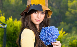 李居明2026年十二生肖运势