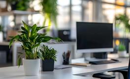 年终加薪攻略：巧妙布局办公室风水，提升职场运势