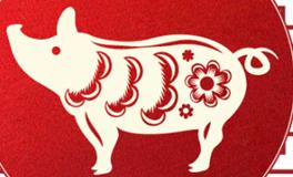 董易林生肖猪2026年1月运势