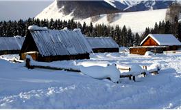 小寒时节：寒意渐浓，春意悄生