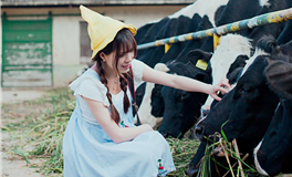 爱莎公主12星座一周塔罗运势（1.19-1.25）