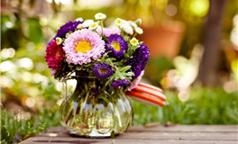 水瓶座新月：专属你的好运预报