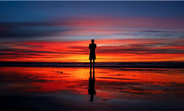 秦阳明每日生肖运势2026年1月14日