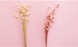 YAO叔星座2026年1月4日运势：开学开工，记得定闹钟