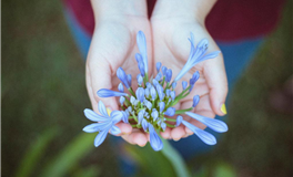 滴天居士2026年1月9日生肖运势