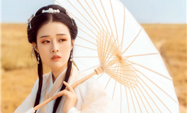 2026年十二生肖职场运势分析及工作提醒