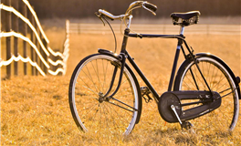 秦阳明每日生肖运势2026年1月28日