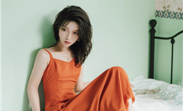 易鑫十二生肖乙巳年十二月运势（1.5-2.3）