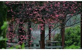 蓝蓝占星一周星象和开运提点（2.2-2.8）