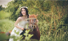 占星妖妖十二星座每日运势（2026-2-26）