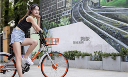 罗伯：野生的爱