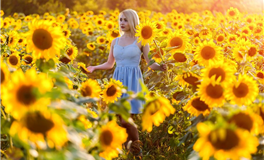 Alex大叔射手座2026年3月运势