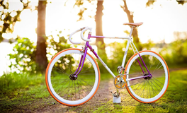 星座女神：白羊座本周运势（2.9-2.15）