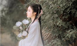 新春六愿：2026年纳福迎新的美好愿景