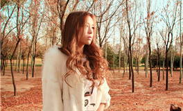 滴天居士生肖猪2026年3月运势