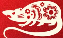 董易林生肖鼠2026年4月运势