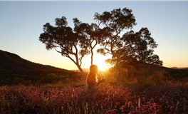 星座日运 2026年4月5日 星期日 农历二月十八