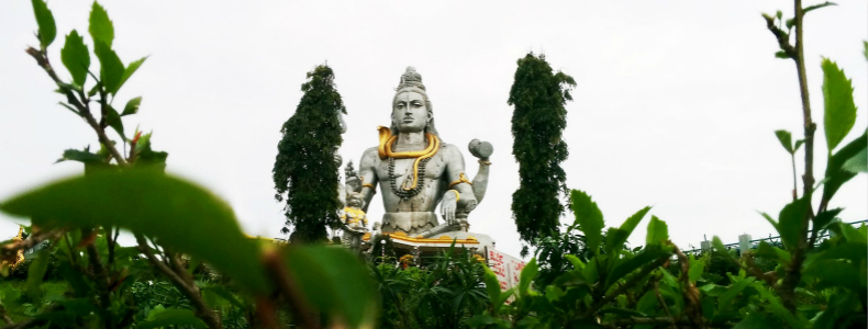 属蛇的人2018年运势大全