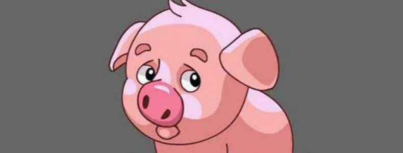 属猪的人2018年运势大全